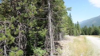 000 Kyran Ln, Troy, MT 59935