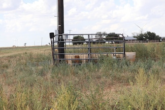 0 N F M 789, Petersburg, TX 79250