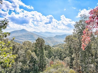 000 High Rock View Dr Unit 32, Canton, NC 28716