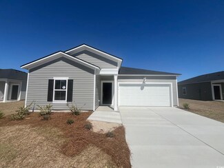 1353 Palm Springs Paloma Dr Unit Lot 33 Dover, Longs, SC 29568