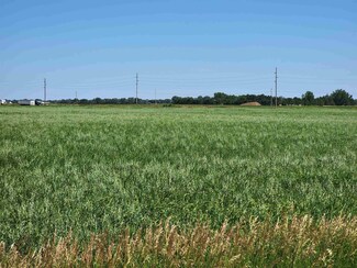 Eagle Road 17th Rd, Odessa, NE 68845