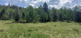 5583 Veevers Rd, San Luis, CO 81152