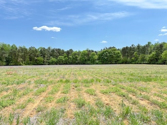 0 Tbd Mike Rogers Farm Rd Unit LotWP001, Clio, SC 29525