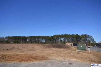 0 Presbyterian Rd Unit 126969, Florence, SC 29501