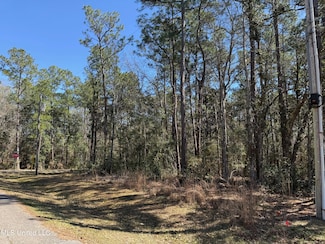 732 Anela Place, Diamondhead, MS 39525