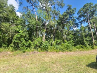 8350 Treiman Blvd, Webster, FL 33597