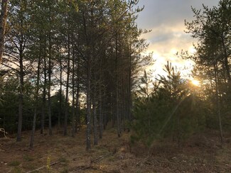 97 acres Cedar Falls Rd, Hazelhurst, WI 54531