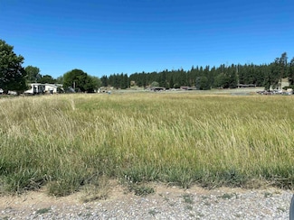 99999 E Dalke Ave, Newman Lake, WA 99027