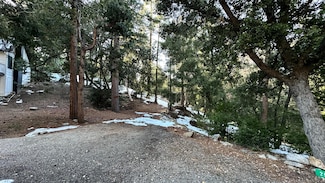 25235 Nestwa Trail, Idyllwild, CA 92549