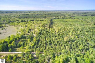 70 Acres B-C-D Wallin Rd, Thompsonville, MI 49683