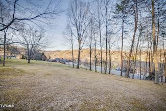 Tbd Alexander Ave, Church Hill, TN 37642