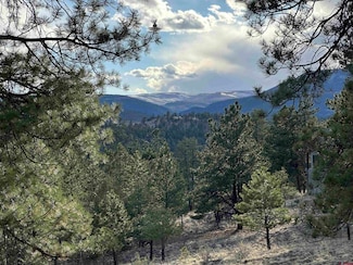 505 Skyline Dr, South Fork, CO 81154