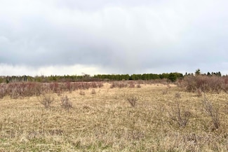 0 County 513 T Rd, Escanaba, MI 49878