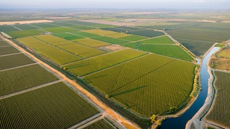 23201 N Ray Rd, Lodi, CA 95242
