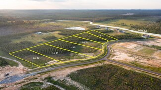 1017 Freedom Farms Crossing, Brandon, MS 39047