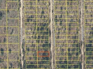 0 Iowa Ave Unit MFRO6277663, Hawthorne, FL 32640
