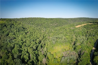 0 Williams Rd, Candor, NY 13743