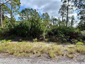 1202 Magnolia Ave, Lehigh Acres, FL 33972