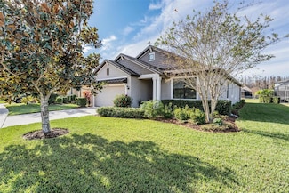 19724 Post Island Loop, Land O' Lakes, FL 34638