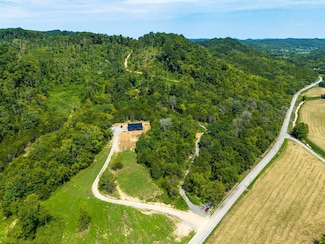 0 Auburntown Rd Unit RTC2823164, Woodbury, TN 37190