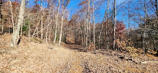 0 Briar Mountain Rd, Rocky Mount, VA 24151