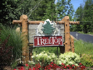 16 Winterberry Heights, Stratton, VT 05360