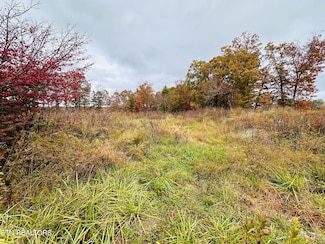 4.14 Acres Nashville Hwy, Deer Lodge, TN 37726