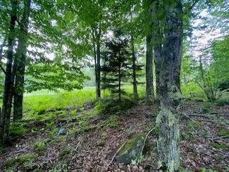 Lot 33 Canal St, Davis, WV 26260