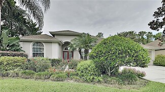 27740 Pine Point Dr, Wesley Chapel, FL 33544