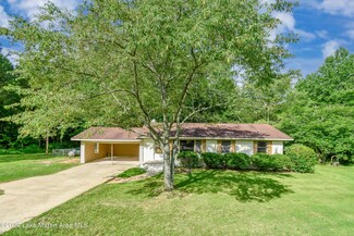 19207 Goldville Rd, Daviston, AL 36256