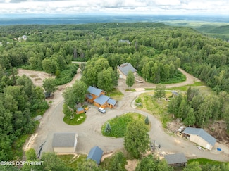 13355 W Fowler Cir, Willow, AK 99688