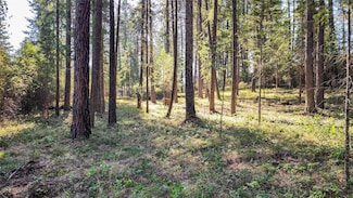 1505 Kootenai River Rd, Libby, MT 59923