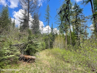 NKA Old Railroad Grade, Plummer, ID 83851