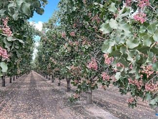 - Idaho Ave, Hanford, CA 93230
