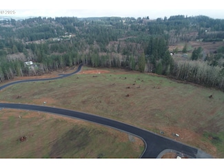 223 Ash Mountain Dr Unit 4, Castle Rock, WA 98611