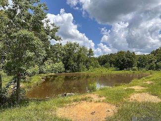 LOY Y-3 Old Norwood-Wilson Rd, Wilson, LA 70789