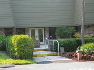 36750 Us Highway 19 N Unit 19307, Palm Harbor, FL 34684
