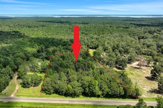 Tbd Hwy 156, Coldspring, TX 77331