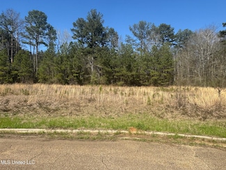 0 Business Center Dr, McComb, MS 39648