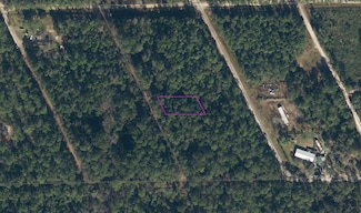 310 Heron Rd, Satsuma, FL 32189