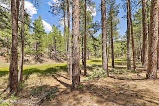 3456 Laurie Ln Unit 9, Flagstaff, AZ 86001