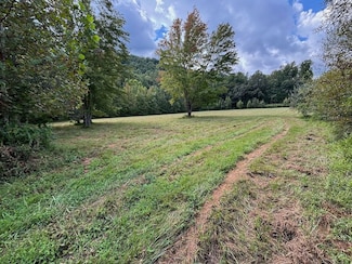 0 Highway 297 Unit LotWP001, Pioneer, TN 37847