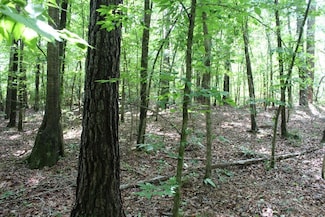 0000 Lee Dr SE, Bogue Chitto, MS 39629