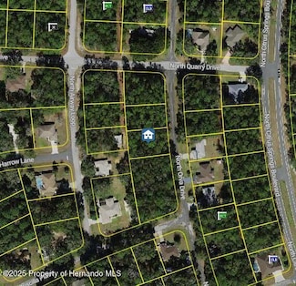 10768 N Orva Dr, Dunnellon, FL 34434