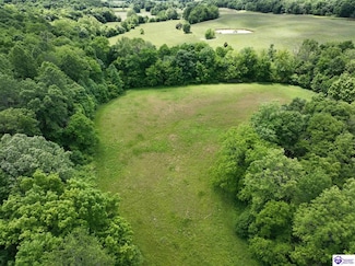 5579 Falls of Rough Rd, Caneyville, KY 42721