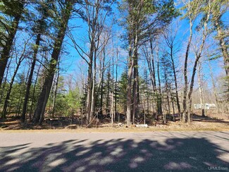 123 Olsen Rd, Sands Township, MI 49841