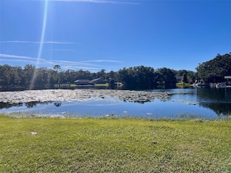 710 Twin Oaks Ln, Eustis, FL 32726