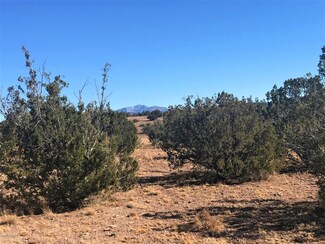 206 Bixler Trail, Ash Fork, AZ 86320