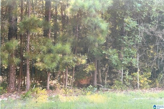 0 Water Oak Ln Unit Lot 6 21425820, Talladega, AL 35160