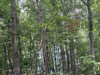 105 Great Camp Ct, Sunset, SC 29685